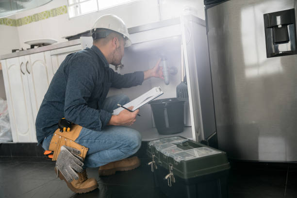Best Local Plumber Services  in Lady Lake, FL