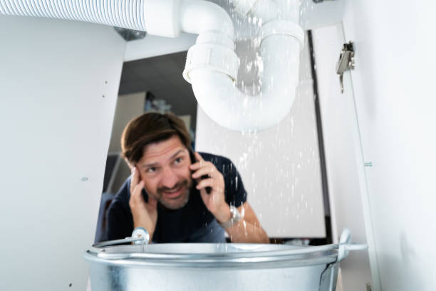 Best Drain Cleaning Services  in Lady Lake, FL